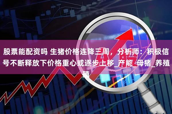 股票能配资吗 生猪价格连降三周，分析师：积极信号不断释放下价格重心或逐步上移_产能_母猪_养殖